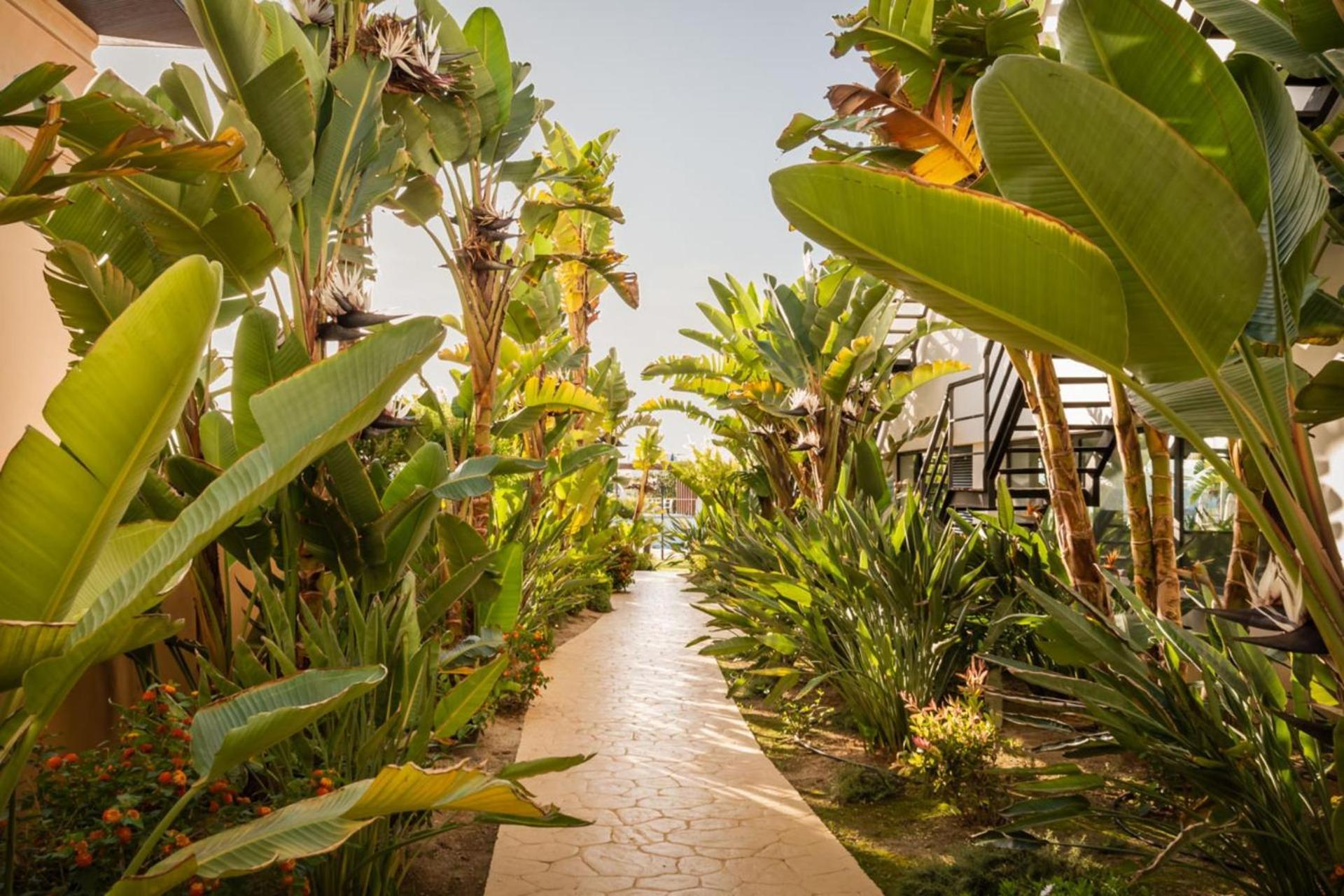 Alegria Palacio Mojacar - Adults Only Exterior photo